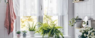 bathroom plants bad odor