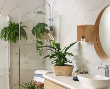 best houseplants for bathrooms